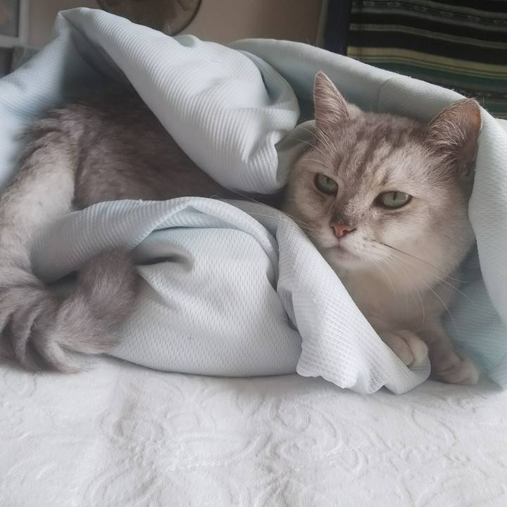 177546f5 5e05 4eb8 b78e e06f6cf9d191 1532228355083