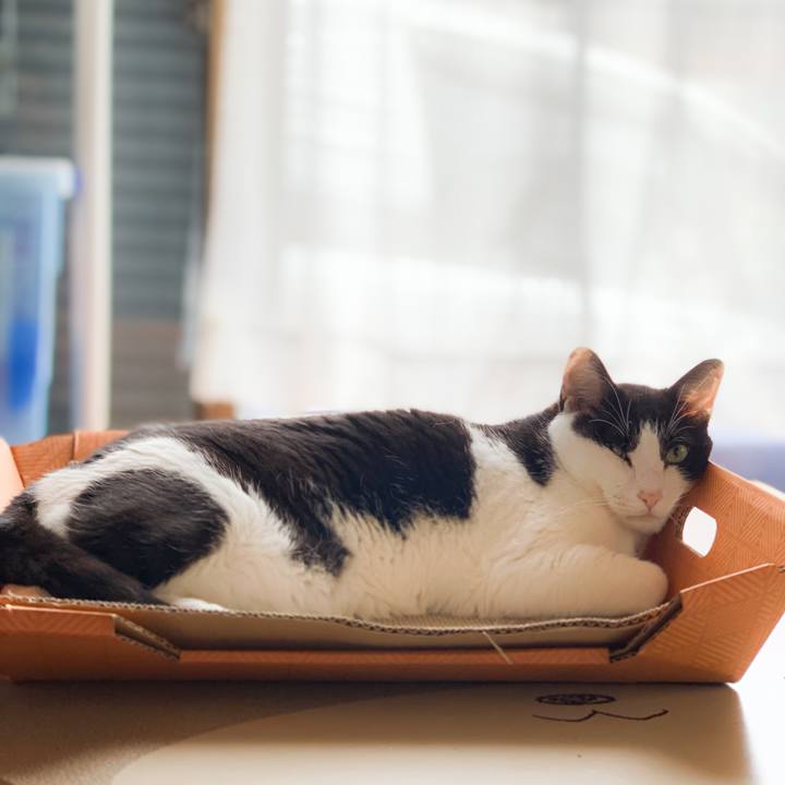 17754700 8340 4eaa b3a4 a9e6c703f61d 1594865972598