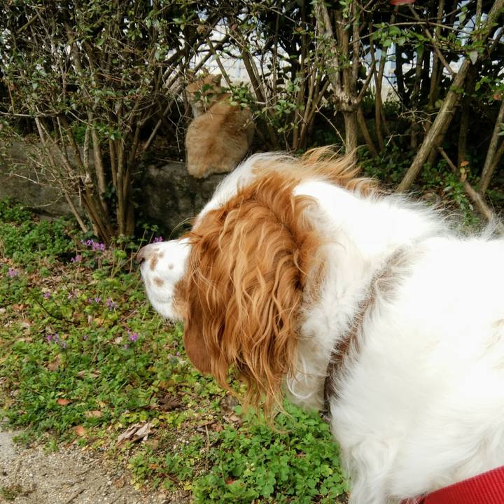 17754c1d 41bc 493d 8c08 c4ceb18445e6 1552723353716