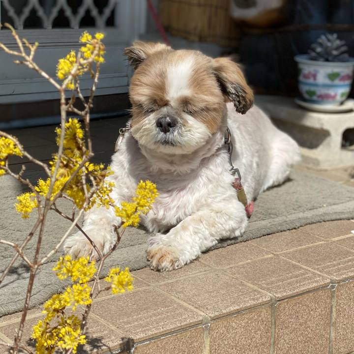 17755c5e 4c5a 4e63 bae7 0f184d49aa8e 1647228425803