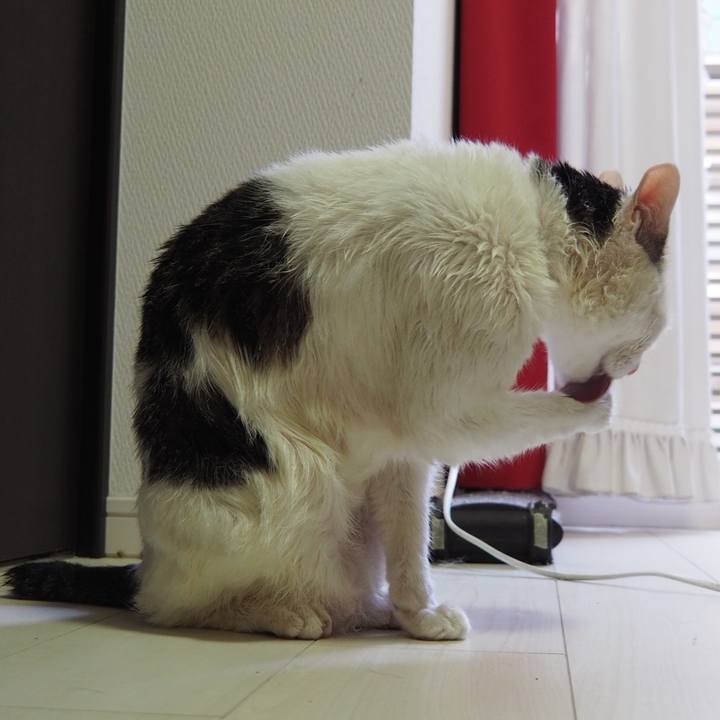 17755ced 985f 4264 9ed3 880c5db576b1 1559394914213