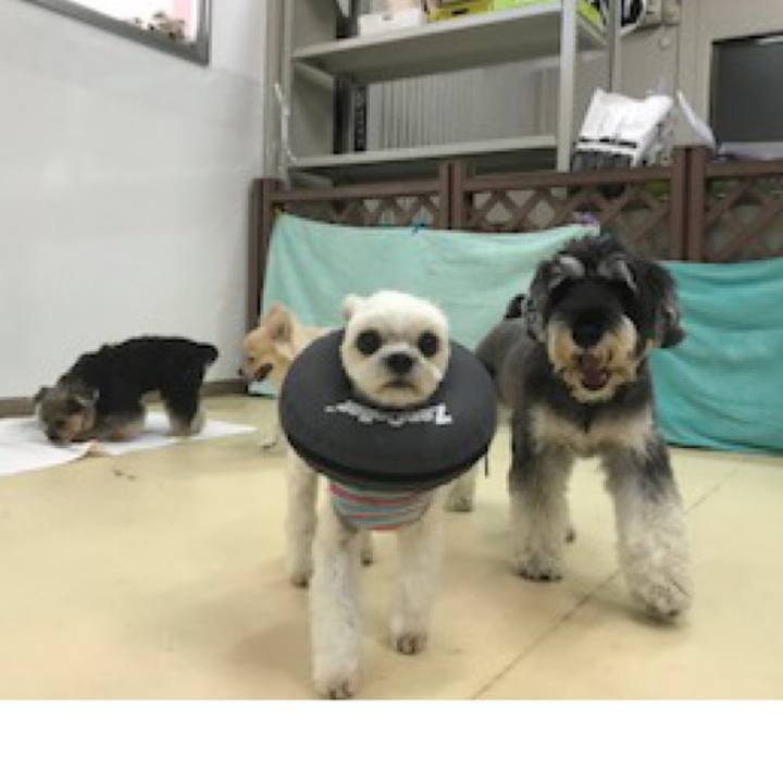 17755ff9 db26 49d0 8b68 432212ca9d9c 1573561928143