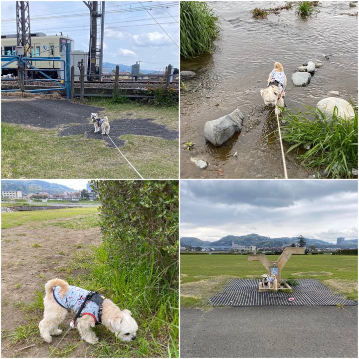 17758d5b 5e8a 4a00 8290 f217a1ee39ac 1586673866792