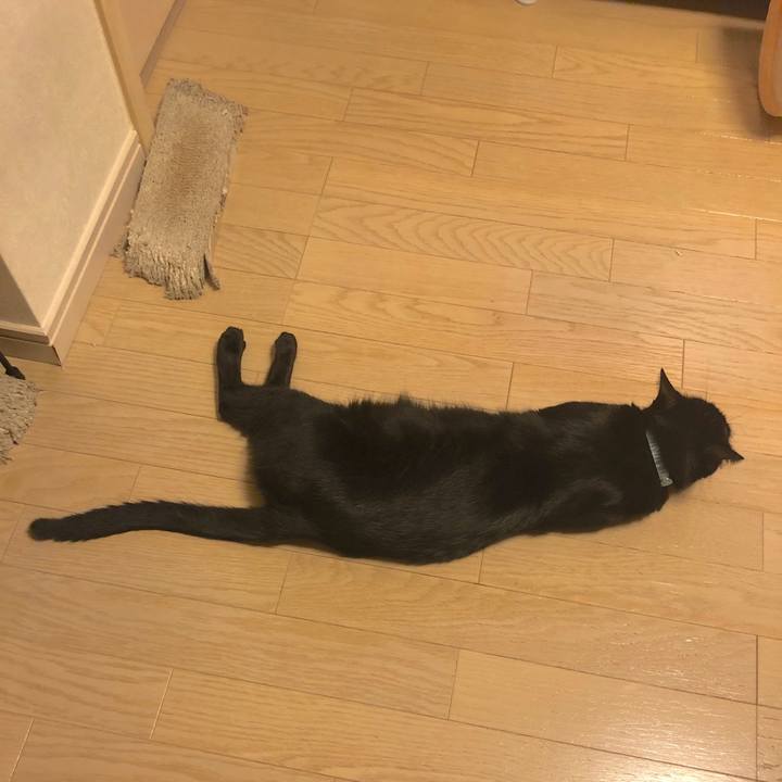 1775ab8e 3538 4489 9384 28409773f2e3 1565005950935