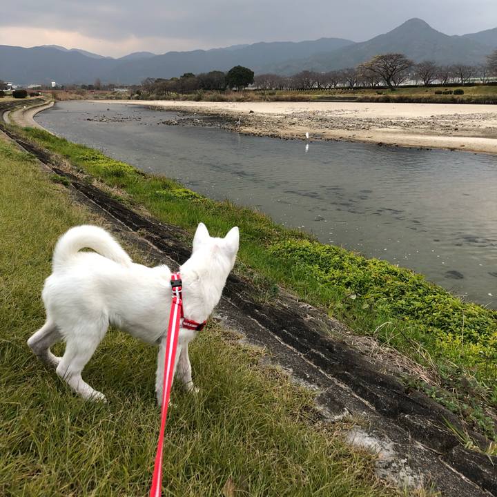 1775bc50 125e 42d6 acbb d1540f1e506e 1513643376947