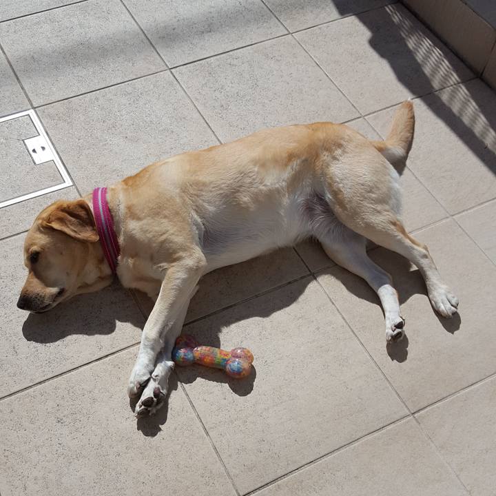 1775ce23 29bc 485d a0c7 319ae82eed20 1509508047454