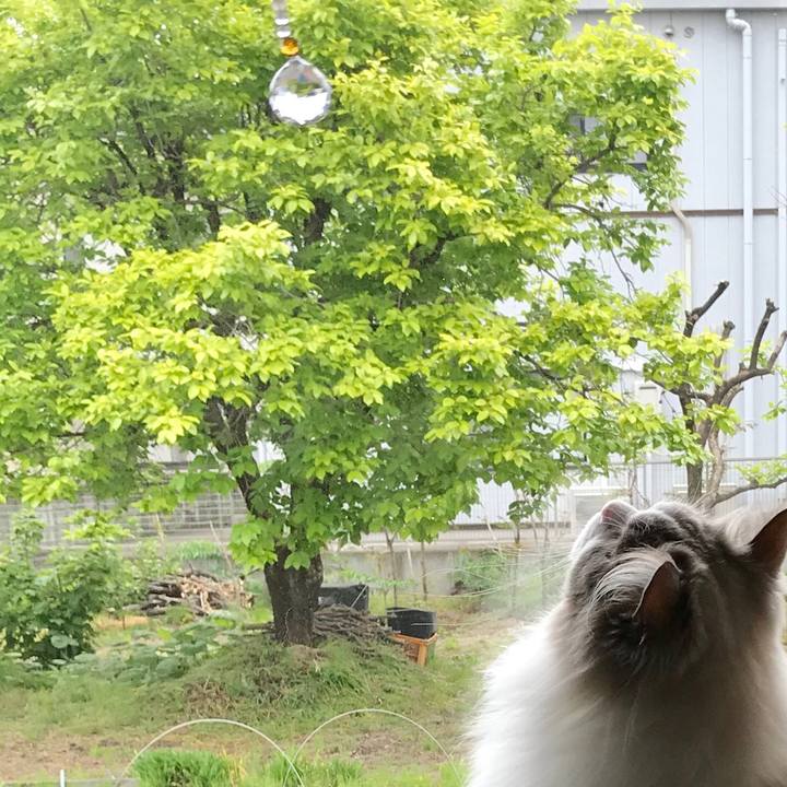 1775daf3 4a22 46e1 b893 1679673eea8a 1594756842902