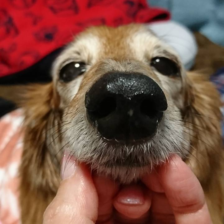 1775ecc4 3cfe 4c4d 9c64 b936e79ebcc5 1518949685913