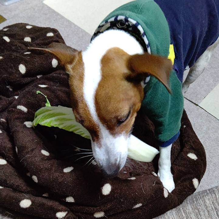 177603cb c6c3 4d3d 9c2f f45fdcef8f00 1642502344163