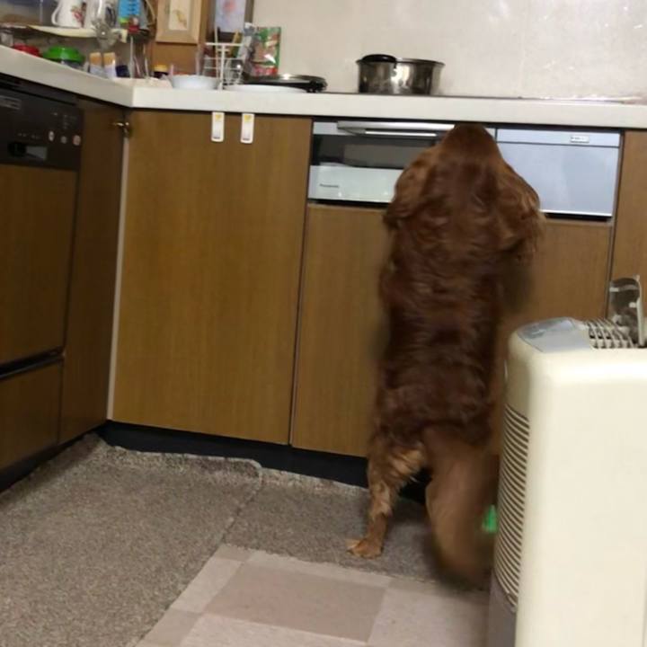 177613df 62ee 414e 89b2 a856afdcc5cc 1645225983627