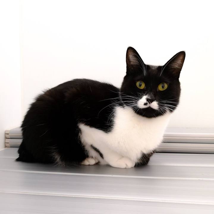 17762209 bbe3 47bb 990e 794df1abed1c 1545926505170