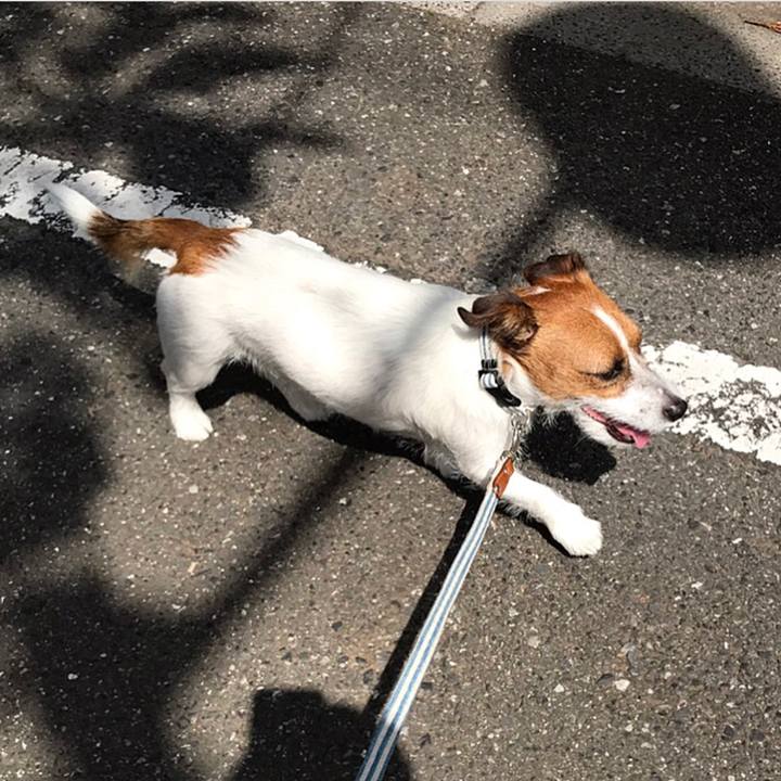 1776312c 8151 4cde b624 6353b6eb607d 1508330777404