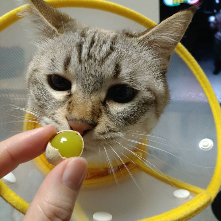 1776be90 8988 4b47 87ab 7a0b0a9f19ca 1731581293125