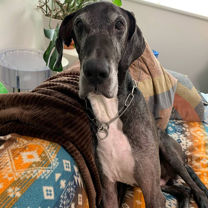 1776c882 59b2 4892 b329 0b385eea8c60 1604878537172