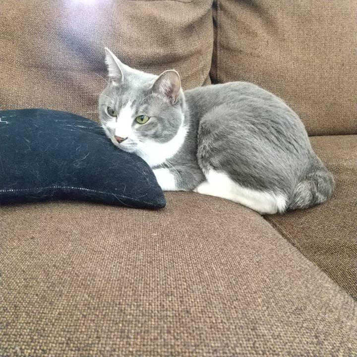 1776e2fb 721c 495f 8baf a2eaa4ef7985 1640739517596