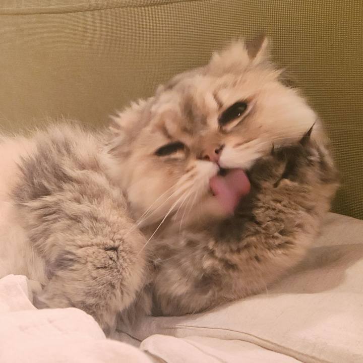 1776f8d1 3b34 4923 b09e d82e3acefb5b 1683096444041