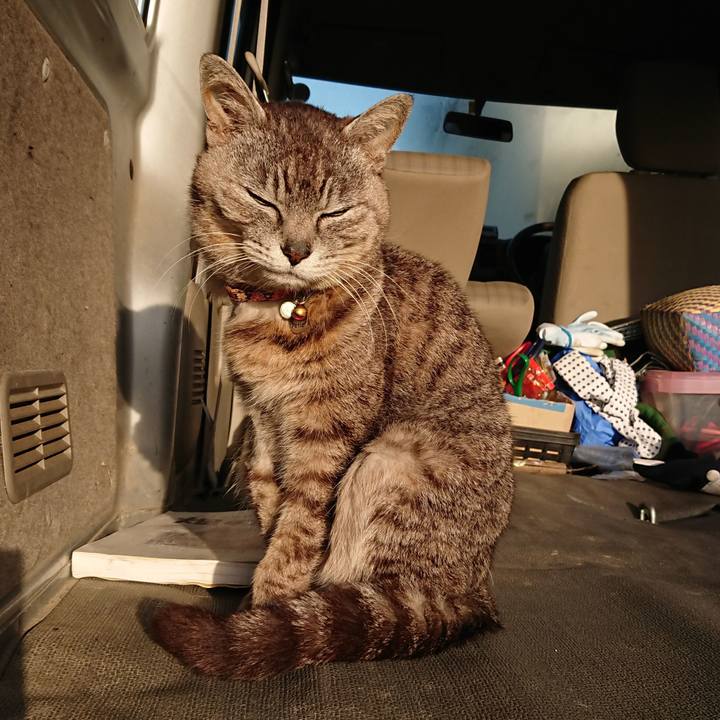 1776fb18 2bc2 4e12 8189 251bf345c9de 1591648488734