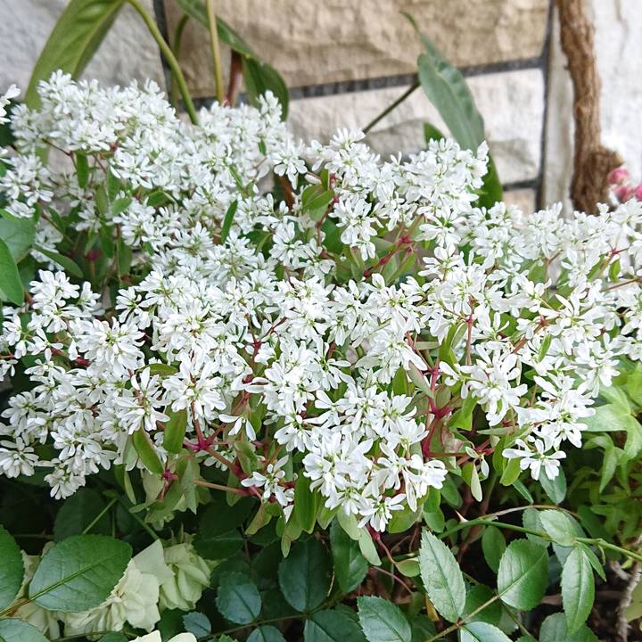 177717a3 0bd6 41ab 8081 5ee7e0b18889 1654425956393