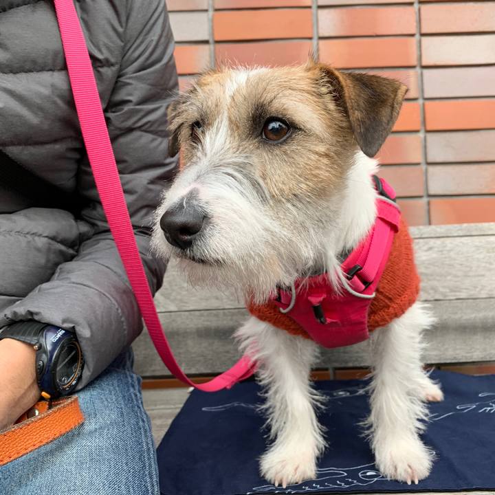 17773789 9583 44e1 8ee6 8a7744c6c646 1579964598626