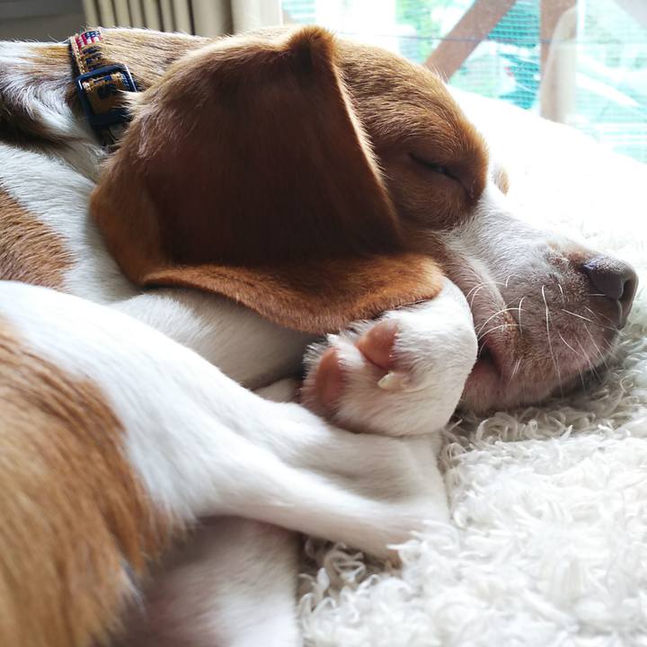 1777712a 37f0 4639 9864 f0105341c3a6 1556760527800