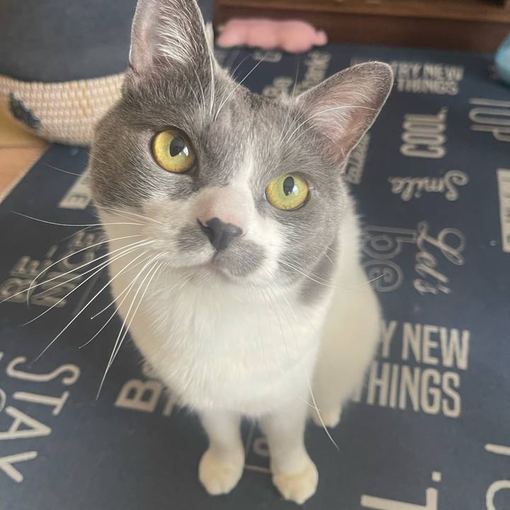 17779a27 f7fa 478a 8658 2946755eb3f9 1716083922486