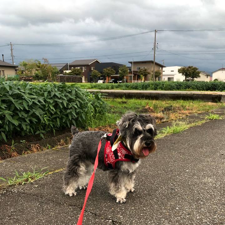 177806c6 c75a 4631 983b 4d6b175d31fa 1565962350871