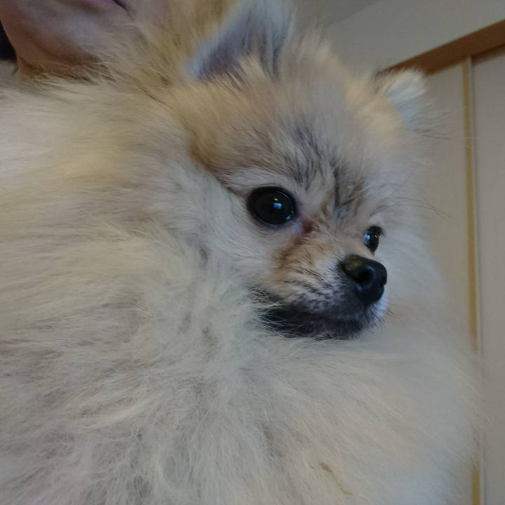 17783c83 be6a 4e78 b956 b54e1baa800a 1517497249110