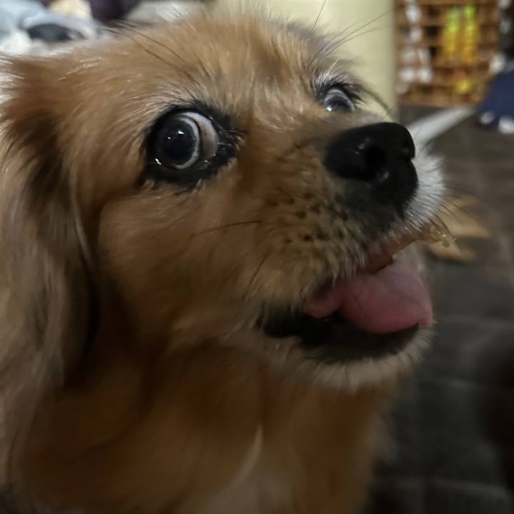 177875f3 6869 4fc5 a9c3 3512e50ffd7f 1730149642230