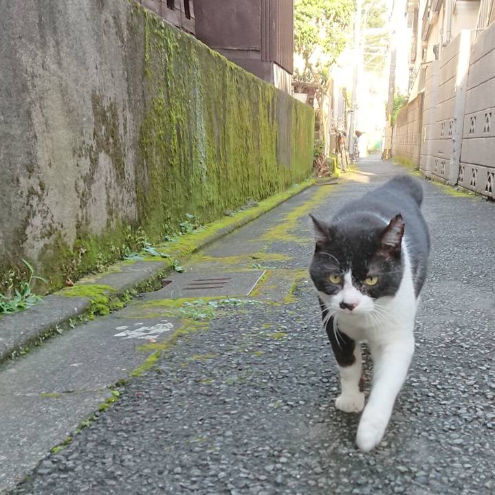 1778991b 5732 4230 871d 58c1ba55ce0e 1599516979164