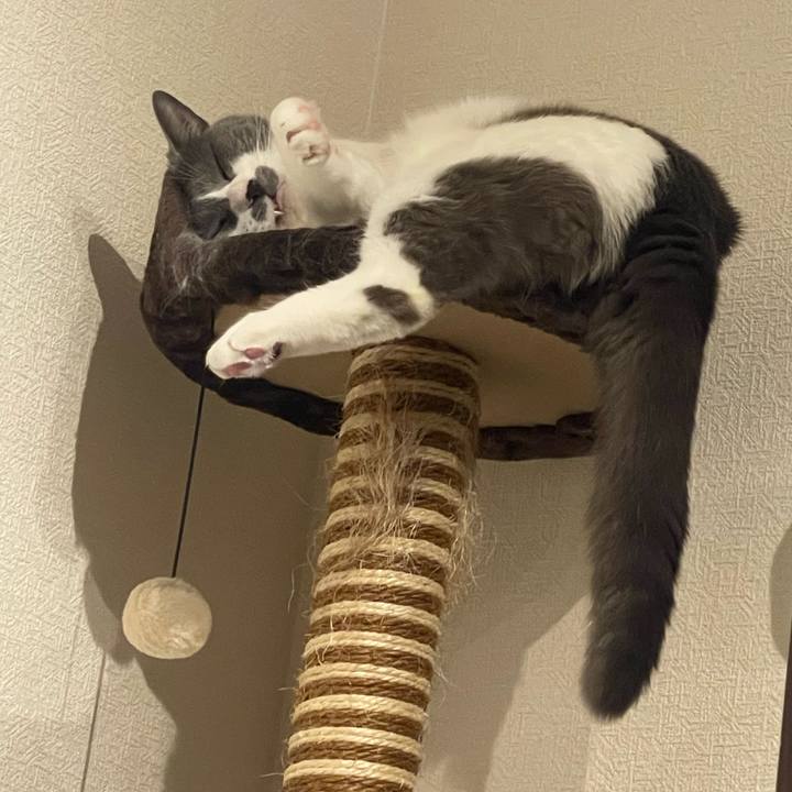 1778a044 047b 4402 b1a3 39a146dedf6b 1718985460121