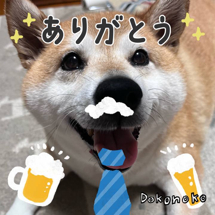 1778a6ef f053 41ca 81df eb92d68d975d 1717637291847