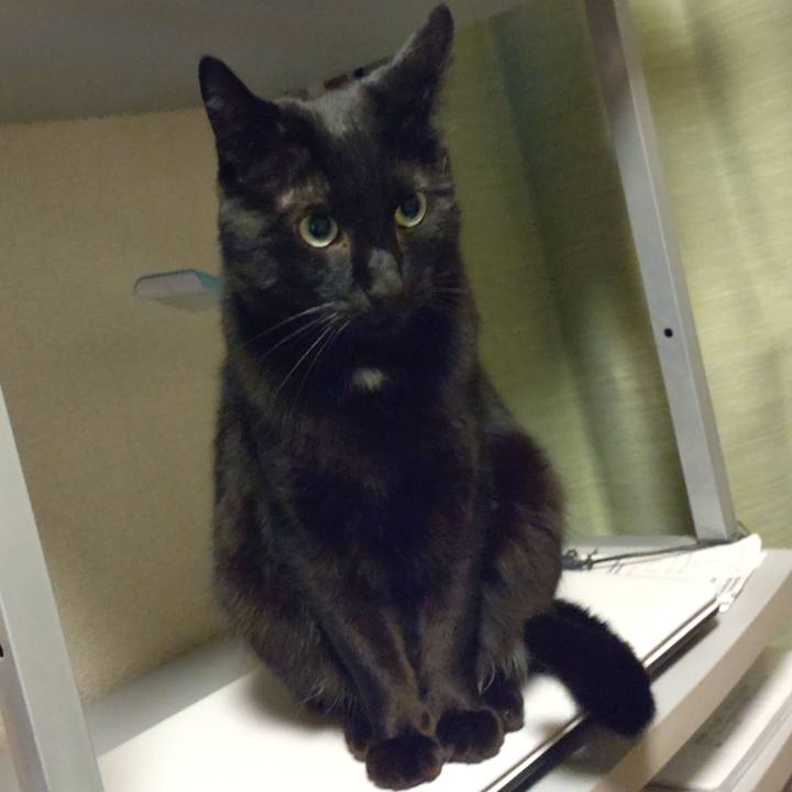 1778b9c0 c0f5 4382 83eb 0a02b1d35fb1 1666342461617