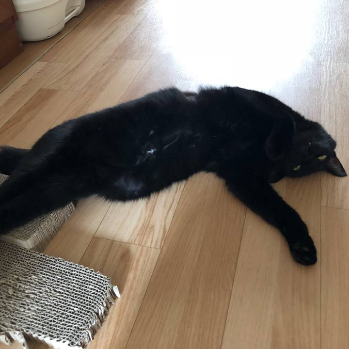 1778fcec fe51 4336 9908 2882ba89a77e 1528591305094