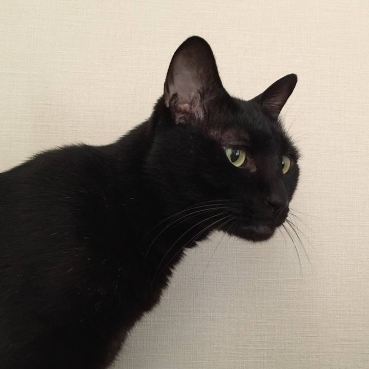 1778feb0 e041 4d47 b29d 60a09f20c710 1582413646165