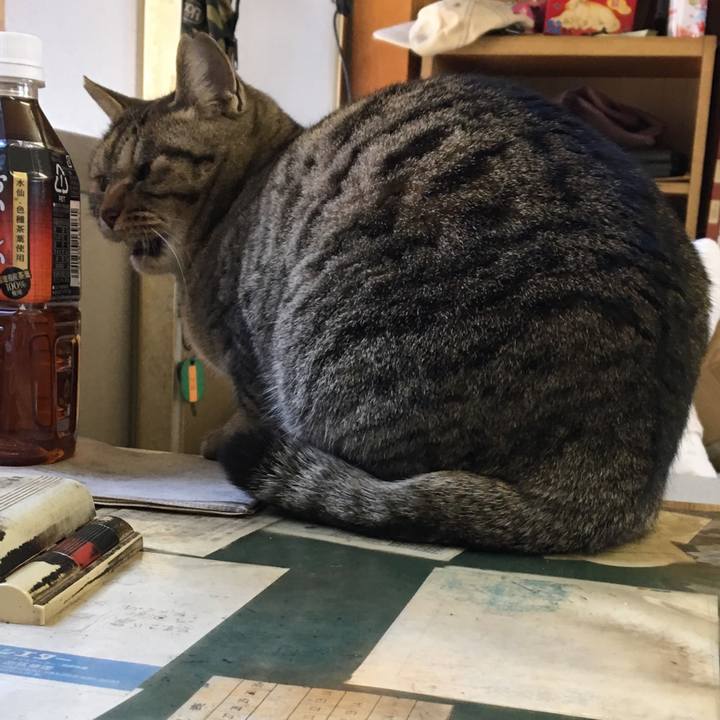 177903eb 3417 48c7 b5a9 1cd465e49ab7 1516333123048