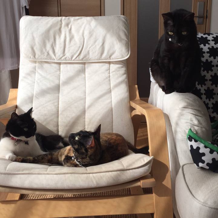 177924ec db9e 4283 95c4 3bd3dda8101f 1521852399936