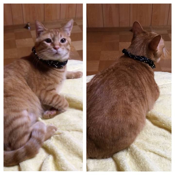 177946ec 5c58 49f0 aba1 c81874197d83 1539346748462