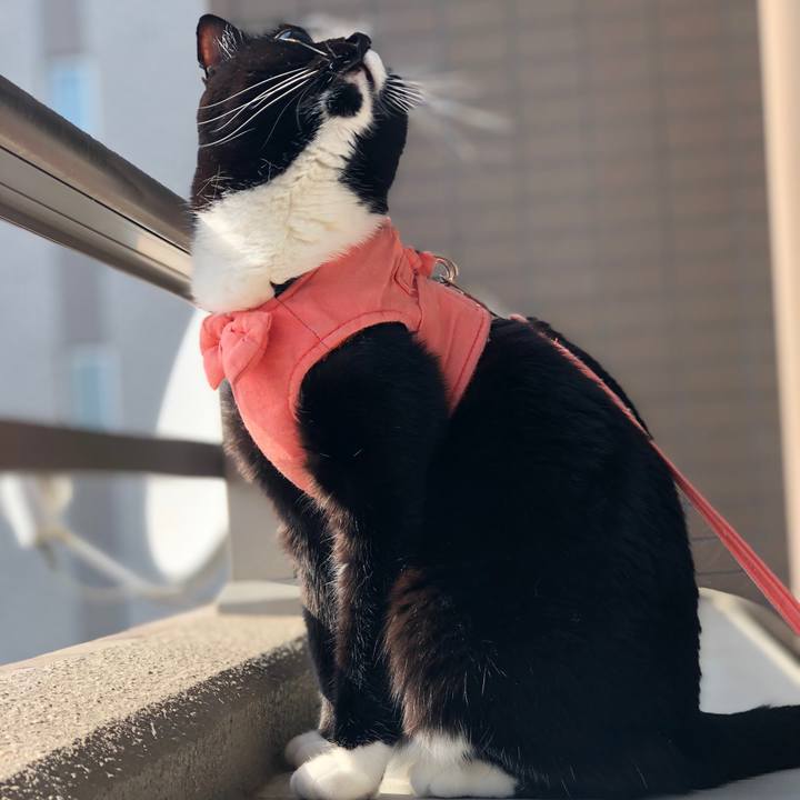 17794f87 043b 4356 8ea3 8d2f2427c617 1584772332817