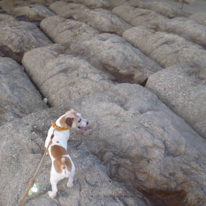 177954e7 46df 4931 affd 18f004e871a8 1538801659499