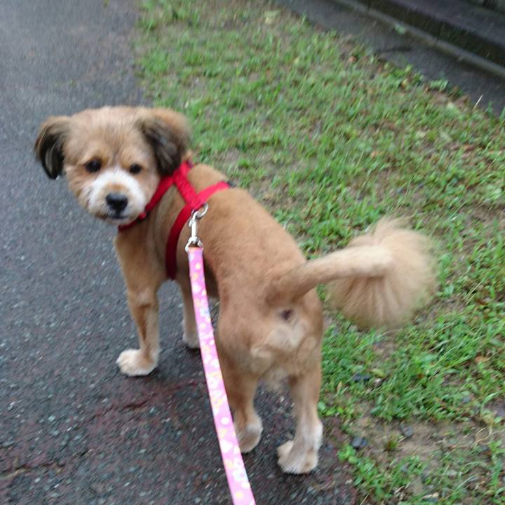 17798bc3 ae1f 4fb2 8b93 95b49dd849a7 1530611283778