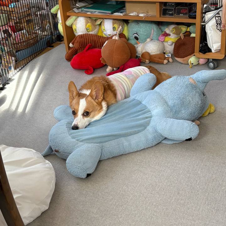 177992c3 43fa 4f56 8f11 afc978035d72 1767920415204