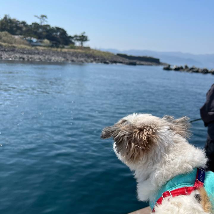 17799e21 15e9 4f43 9caa 73c34d6a943f 1683199252684