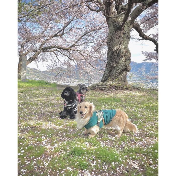 1779af8a 45c9 4046 bbf8 31e3716d276e 1680656949211