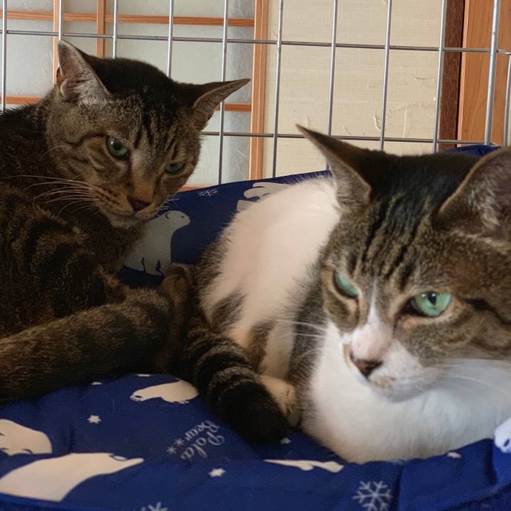 1779f3ab 0bd6 401b bc01 e3af19146350 1565224580265