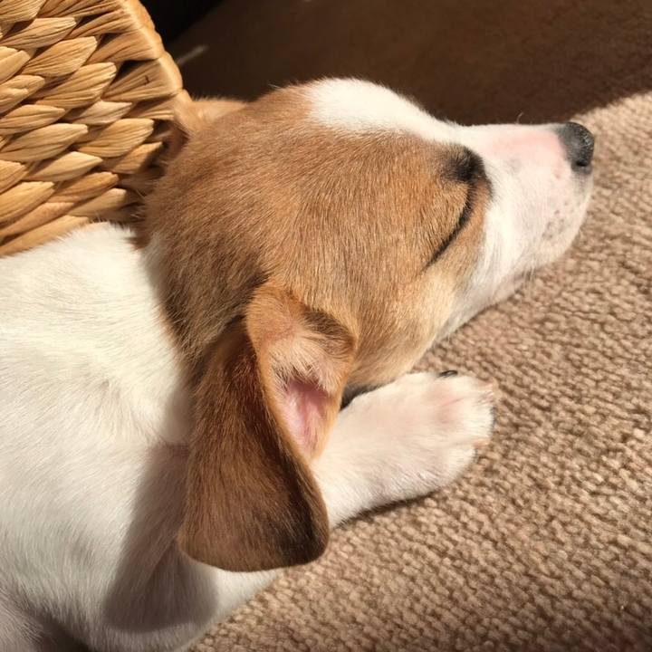 177a20a6 5471 489a bc08 6d56ccb6e2df 1546230501507