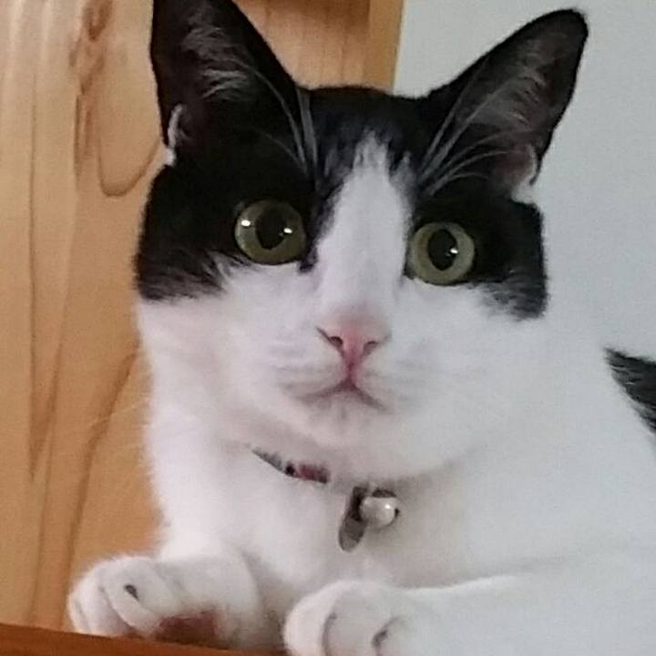 177a3163 6435 41bf 930b 9eb1a8bfe77f 1538809090892