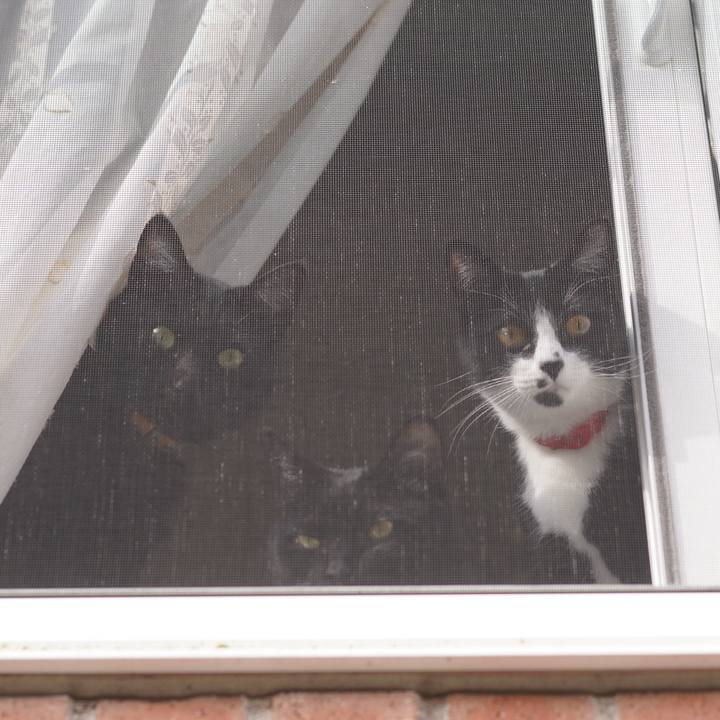 177a432b 6c20 4bf3 992f 570a1e1ea249 1619442466670