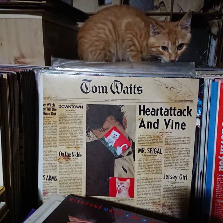 177a439e 3ba6 4878 b4e2 1123b7ce2eae 1632312222653