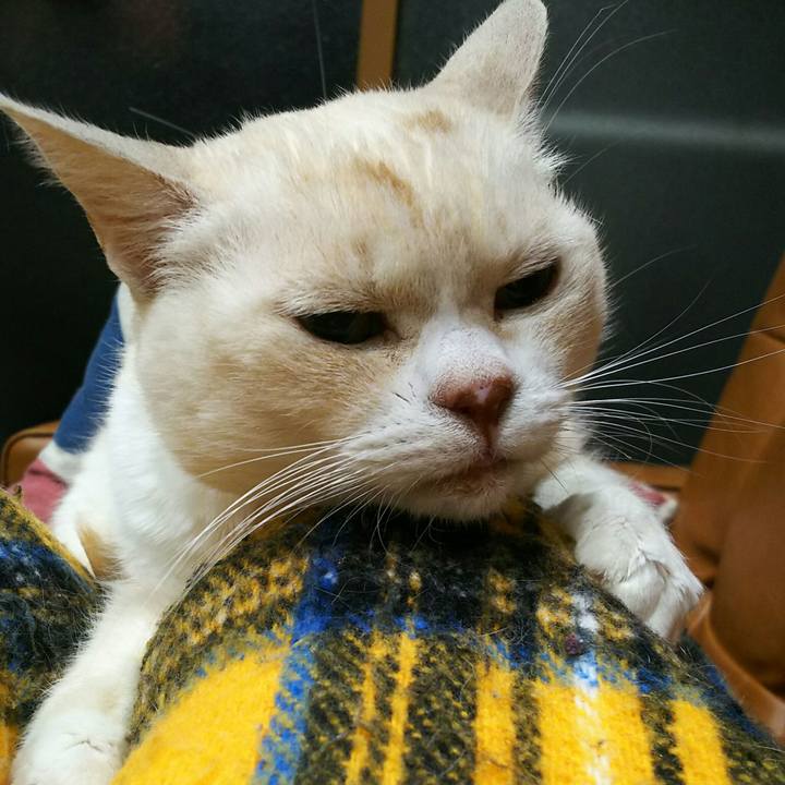 177a5439 76df 447d a84f e98ad0020135 1550066382813