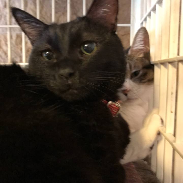 177a5ad0 23ea 4725 a4f1 a8b42b3bdc63 1516513349192